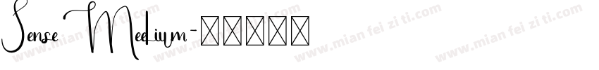 Sense Medium字体转换